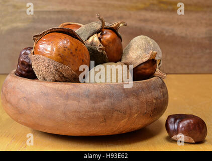 Un buckeye de graines au bol en bois sur fond de bois. Banque D'Images