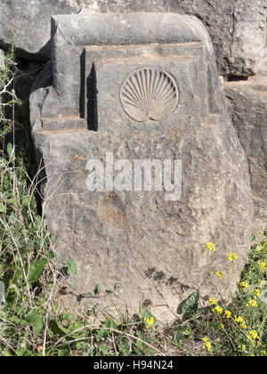 Détails de blocs sculptés dans la ville antique de Volubilis dans le massif du Zerhoun Domaine du Maroc Banque D'Images