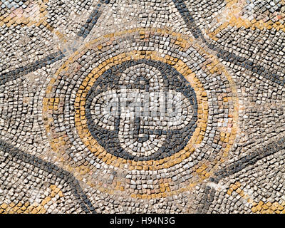 Détails de la mosaïque dans l'ancienne ville de Volubilis Zerhoun dans la région du Massif du Maroc Banque D'Images