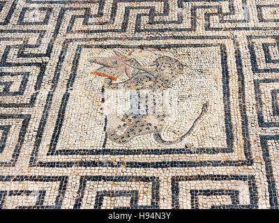 Détails de la mosaïque dans l'ancienne ville de Volubilis Zerhoun dans la région du Massif du Maroc Banque D'Images