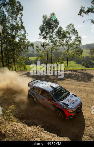 Coffs Harbour, Australie. 18 novembre, 2016. Stade 2 spécial. Bakers Creek. Thierry Neuville (pilote), Hyundai Motorsport World Rally Team. Credit : Russell Hunter/Alamy Live News Banque D'Images