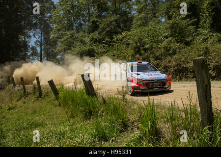 Coffs Harbour, Australie. 18 novembre, 2016. Stade 6 spécial. Utungan. Hayden Paddon (pilote), Hyundai Motorsport World Rally Team. Credit : Russell Hunter/Alamy Live News Banque D'Images