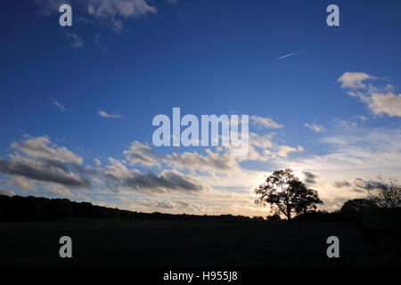 Surrey Chessington, Royaume-Uni. 18 Nov, 2016. Ciel bleu et soleil de l'après-midi à Chessington à Surrey. Credit : Julia Gavin UK/Alamy Live News Banque D'Images