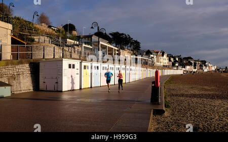 Lyme Regis Dorset, UK. 19 Nov, 2016. Porteur au début sur Lyme Regis front de mer sur un beau matin tôt dans le Dorset Crédit : Simon Dack/Alamy Live News Banque D'Images