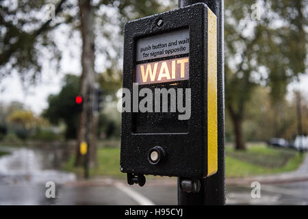 Londres, Royaume-Uni. 09Th Nov, 2016. Un passage pour piétons Les piétons indique à "attente" à Londres, Angleterre, 09 novembre 2016. Photo : Wolfram Kastl/dpa/Alamy Live News Banque D'Images