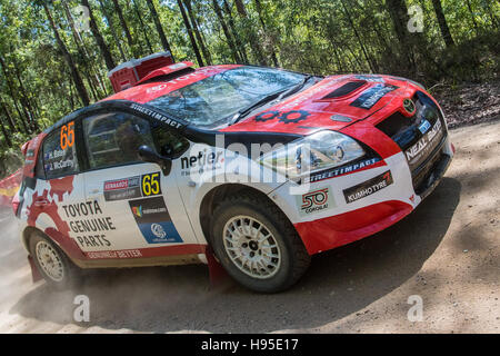 Coffs Harbour, Australie. 19 Nov, 2016. World Rally Championship - Coffs Harbour Australie Valla Stade. Credit : mjmediabox/Alamy Live News Banque D'Images