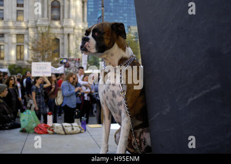 Philadelphie, Pennsylvanie, USA. 19 novembre, 2016. Des centaines participer à des manifestations, Anti-Trump sur 19 novembre 2016, dans le centre-ville de Philadelphie, PA. Credit : Bastiaan Slabbers/Alamy Live News Banque D'Images