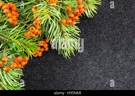 Gui et sapin sur fond brillant foncé. Temps de Noël Banque D'Images