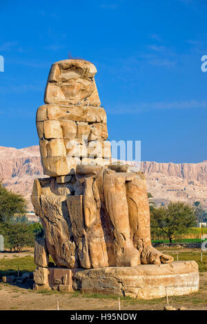 Colosses de Memnon près de Luxor, Egypte Banque D'Images