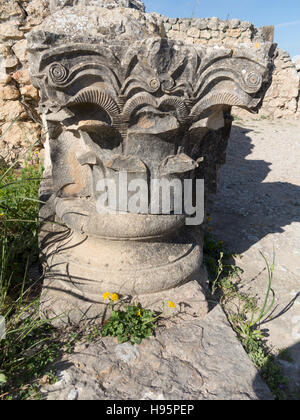 Colonne tombé du capital à la ville antique de Volubilis Zerhoun dans la région du Massif du Maroc Banque D'Images