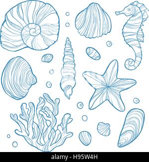 Définir un coquillage, corail, étoile de mer, hippocampe et rochers isolé sur fond blanc. Illustration de Vecteur