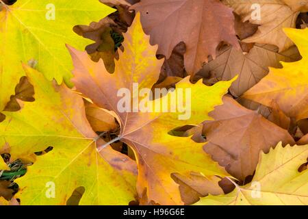 Fallen avion part. Banque D'Images