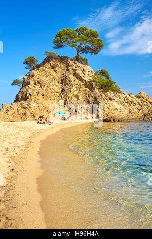 Cap Roig plage, Costa Brava, Catalogne, Espagne Banque D'Images