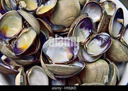 Un arc rempli de coquilles de palourde japonaise vide Banque D'Images