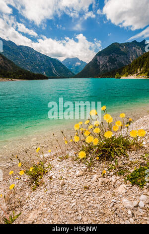 Vue verticale du lac Plansee de pissenlits en face Banque D'Images