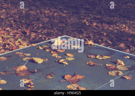 Extérieur horizontal bleu Table de ping-pong dans un parc couvert de feuilles d'automne Banque D'Images