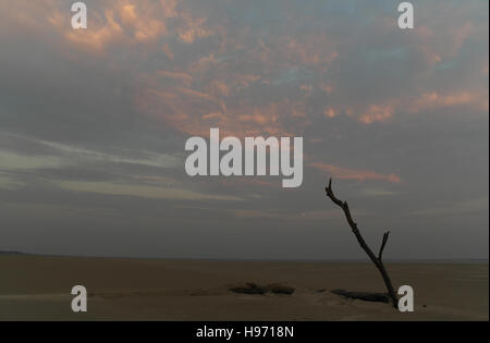 Crépuscule du soir gris, rose-rouge, vue du ciel les nuages vers Lytham, plage de sable fin avec de grands direction oblique tronc d'arbre, Fairhaven, UK Banque D'Images