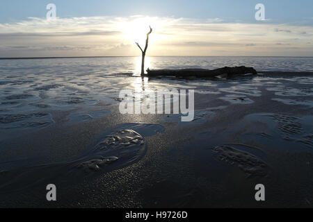 Grand soleil derrière blanc passant de la direction générale de fin de tronc d'arbre couché à plat humide étendue de sable de plage, Fairhaven, Lytham St Annes Banque D'Images