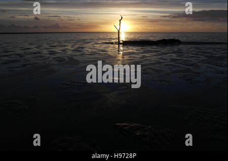 Des nuages gris-blanc jaune coucher du soleil derrière la direction générale grand passant de fin de tronc d'arbre couché plage humide étendue de sable, Fairhaven, Lytham Banque D'Images