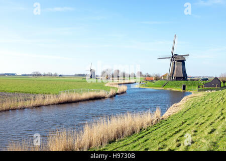 Moulins à vent traditionnels dans un paysage néerlandais aux Pays-Bas Banque D'Images