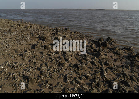 Vue sur le ciel bleu les moules sauvages qui poussent sur les décombres de l'Amérique du mur d'entraînement, de l'eau de la rivière basse canal Ribble, Fairhaven Banque D'Images