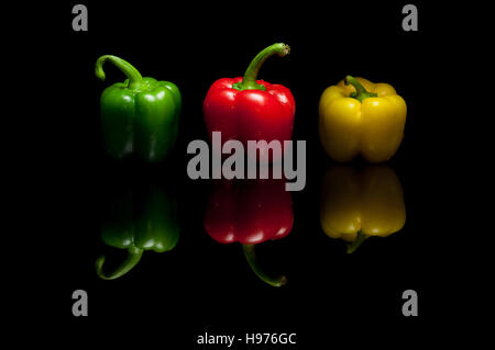 Trois ensemble les poivrons rouge vert jaune isolé sur fond réfléchissant noir Banque D'Images