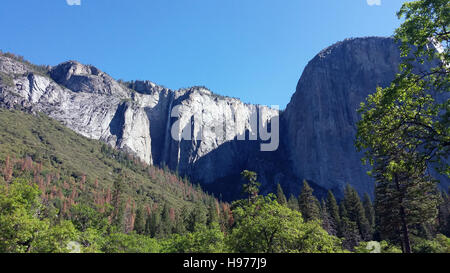 Cascade du Yosemite National Park, Californie, USA Banque D'Images