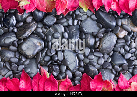 High Angle de vue Plein cadre lisse noir poli River Rocks de diverses tailles Haut et Bas bordé par de l'automne les feuilles rouges de T de feuillus Banque D'Images