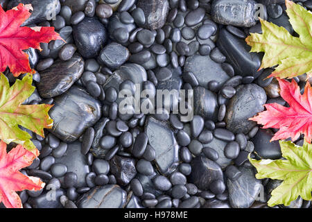 Côté droit et gauche de la frontière érable arbre feuilles sur la surface pour le fond noir Rock Banque D'Images