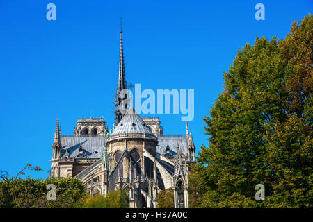 Monde célèbre cathédrale Notre Dame de Paris à Paris, France Banque D'Images