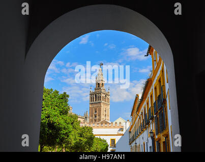 La cathédrale de Séville la Giralda de Séville Alcazar arch porte de l'Andalousie Espagne Banque D'Images