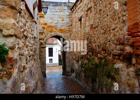 Zamora porte de Dona Urraca en Espagne par la via de la Plata Chemin de Saint Jacques Banque D'Images