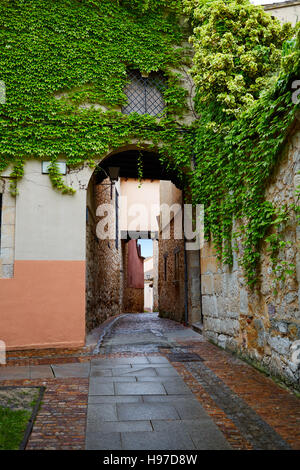 Calle Zamora Troncoso street arch en Espagne Banque D'Images