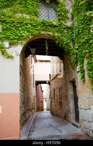 Calle Zamora Troncoso street arch en Espagne Banque D'Images