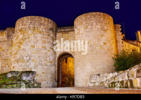 Zamora porte de Dona Urraca en Espagne par la via de la Plata Chemin de Saint Jacques Banque D'Images