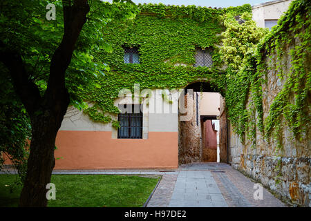 Calle Zamora Troncoso street arch en Espagne Banque D'Images