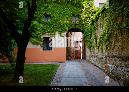 Calle Zamora Troncoso street arch en Espagne Banque D'Images