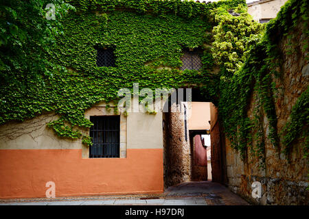 Calle Zamora Troncoso street arch en Espagne Banque D'Images