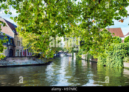 À l'ouest le long d'un canal de Predikherenrei dans la ville de Bruges, Brugge, West-vlaanderen, Belgique Banque D'Images