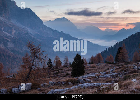 À l'aube d'automne Col Falzarego près de Cortina d'Ampezzo, Dolomites, Italie. Banque D'Images