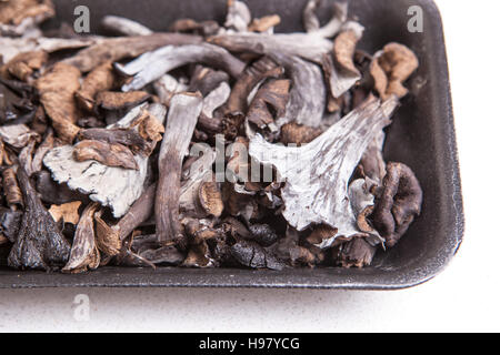 Bac en polyéthylène noir plein de corne d'abondance des champignons. Isolé Banque D'Images