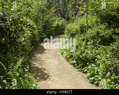 Scène d'été avec la verdure des bois et chemin d'arbres à feuilles vert Banque D'Images