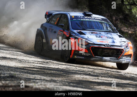 Coffs Harbour, Australie. 19 Nov, 2016. Thierry Neuville (BEL) et son copilote Nicolas Gilsoul (BEL) conduire leur # 3 nouveau i20 Hyundai Motorsport pendant trois jours de rallye d'Australie, le 14e et dernier tour de la 2016 FIA World Rally Championship. Credit : Hugh Peterswald/Pacific Press/Alamy Live News Banque D'Images