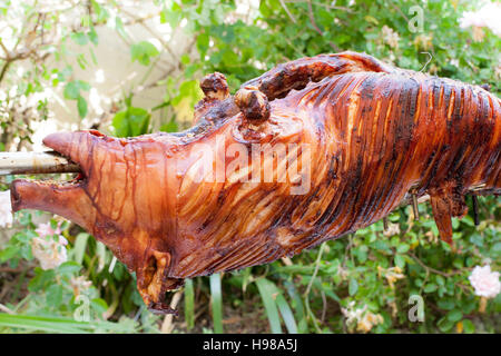 Rôti de porc - cochon entier cuit sur charbon de bois pour un grand rassemblement Banque D'Images