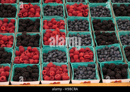 Bio Paniers de framboises, myrtilles et mûres cultivées sur une ferme et affichée à un marché de producteurs Banque D'Images