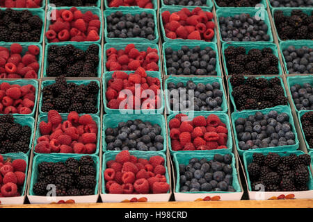 Bio Paniers de framboises, myrtilles et mûres cultivées sur une ferme et affichée à un marché de producteurs Banque D'Images