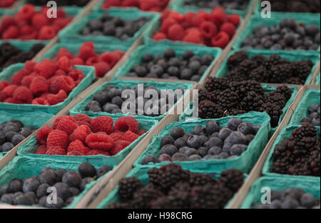 Bio Paniers de framboises, myrtilles et mûres cultivées sur une ferme et affichée à un marché de producteurs Banque D'Images