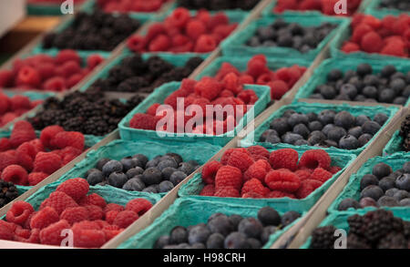 Bio Paniers de framboises, myrtilles et mûres cultivées sur une ferme et affichée à un marché de producteurs Banque D'Images