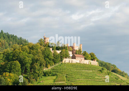 Ortenberg (Baden) : château Schloss Ortenberg, vignobles, Forêt-Noire, Schwarzwald, Baden-Württemberg, Allemagne Banque D'Images