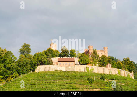 Ortenberg (Baden) : château Schloss Ortenberg, vignobles, Forêt-Noire, Schwarzwald, Baden-Württemberg, Allemagne Banque D'Images